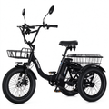 Removable Battery 3 Wheel E-Bike